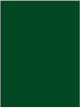 Grønn-RAL-6009